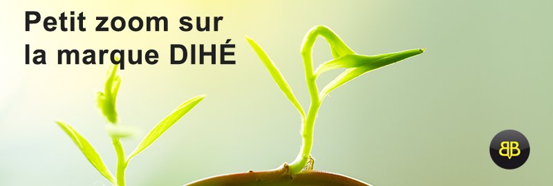 banniere article dihe